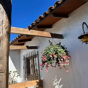 https://the-zarzamora-canary-little-home.in-canary-islands.com